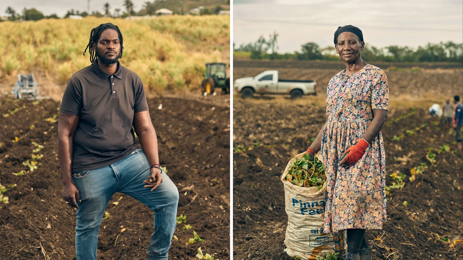 LEFT: Despite a transition to a service economy in Barbados, agricultural products still play a significant role. Kyle Blackmen, 30, manages workers near Drax Hall. RIGHT: Farm workers plant sweet potatoes on Edgecumbe Plantation, near Drax Hall. Austeria Bartlett Johnson, 62, has worked most of her life in the fields. 